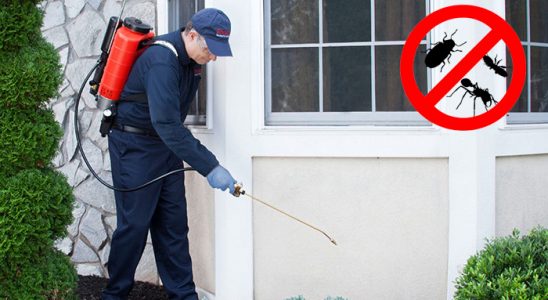 Karabük Karınca İlaçlama böcek ilaçlama ve haşere kontrolü — ilaclama-tr.com